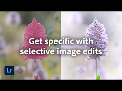 how to edit a specific area in lightroom