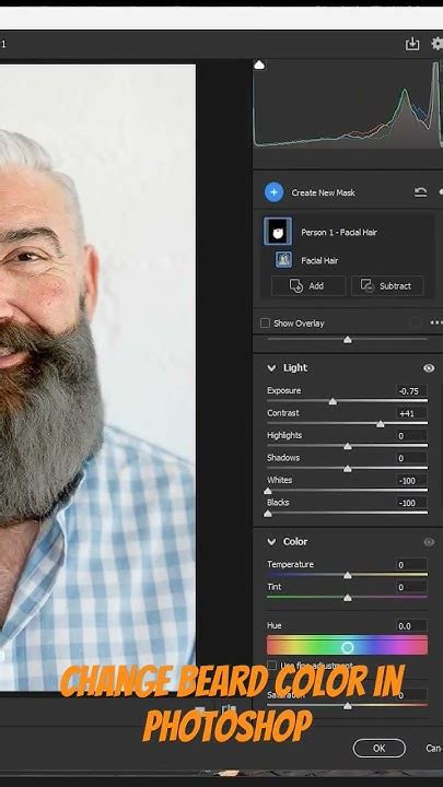 how to edit beard in photo