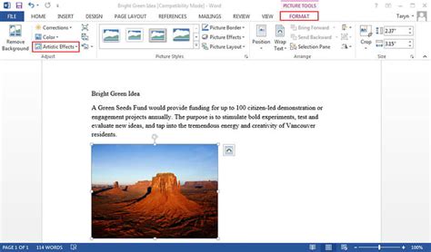 how to edit picture format in word