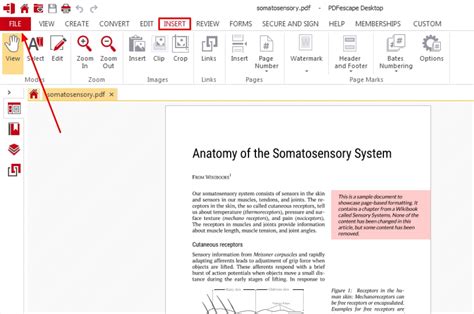 how to edit text size in pdf editor'