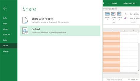 how to embed a excel file in sharepoint