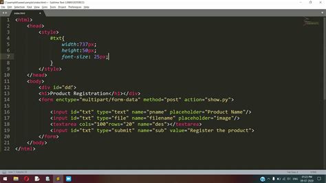 how to embed python code in html