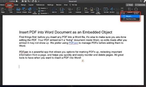 how to embed word in pdf