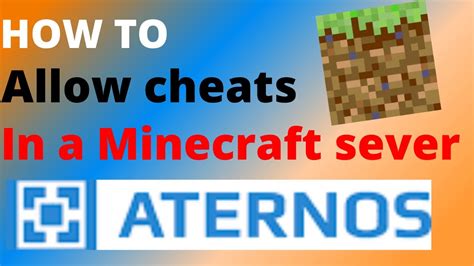 how to enable cheats on a aternos server