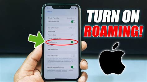 how to enable data roaming in iphone 11