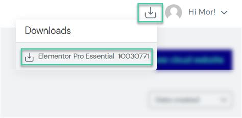 how to enable elementor in wordpress
