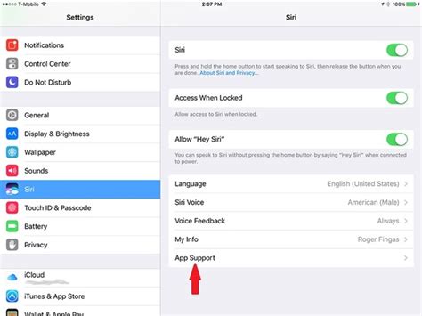 how to enable third party apps on iphone