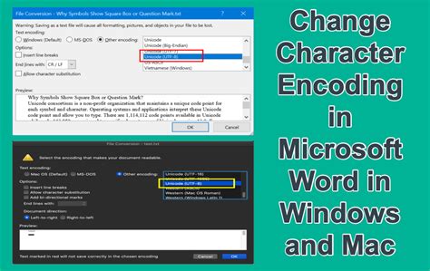 how to encode in ms word