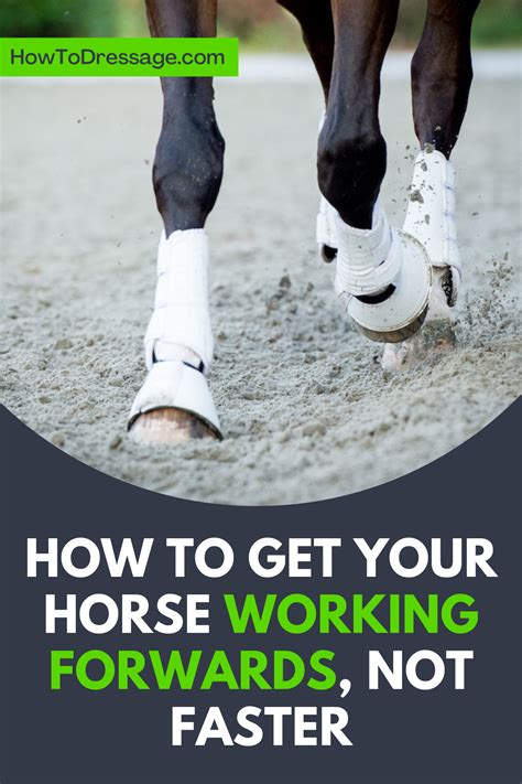 how to encourage a horse to move faster