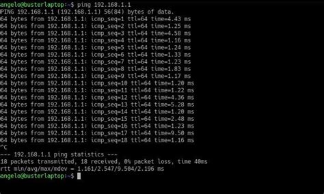 how to end ping command in linux