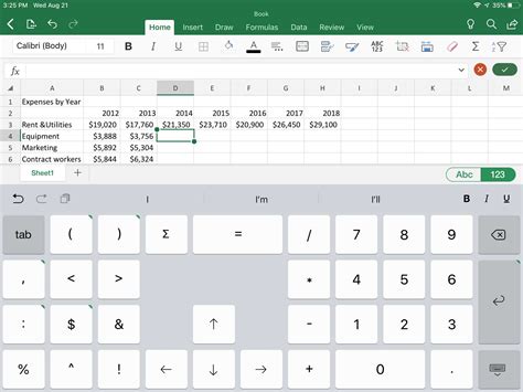 how to enter data in excel on ipad