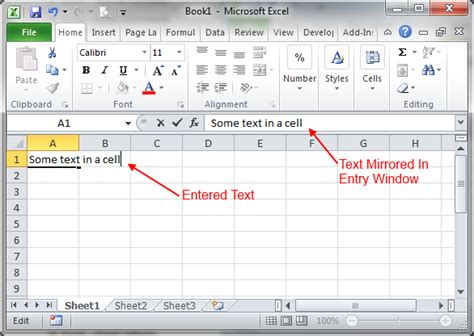 how to enter text in a cell in excel
