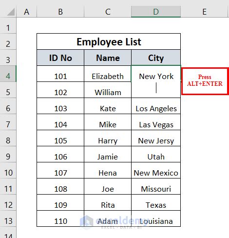 how to enter within a cell in excel mac