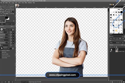 how to erase the background of a picture in gimp