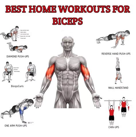 how to exercise biceps without dumbbells