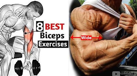how to exercise with dumbbells for biceps