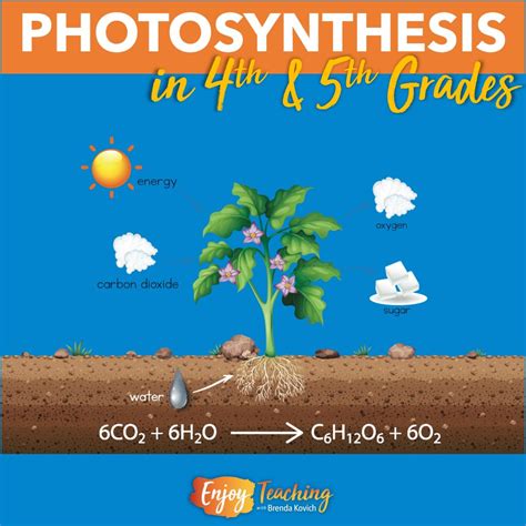 how to explain photosynthesis
