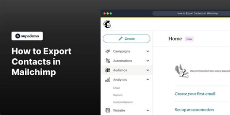 how to export all contacts from mailchimp