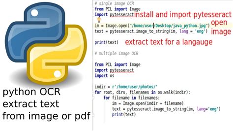 how to extract data from pdf to excel using python