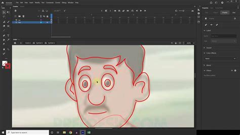 how to fill color in adobe animate