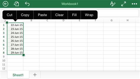 how to fill in excel spreadsheet on ipad