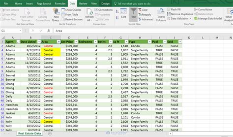 how to filter a data table in excel