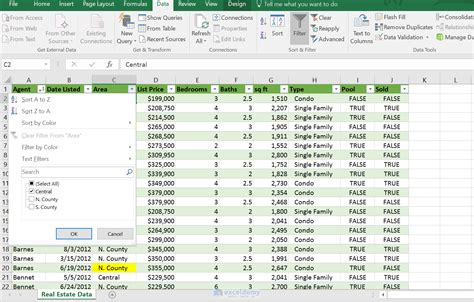 how to filter a table to only show certain data in excel