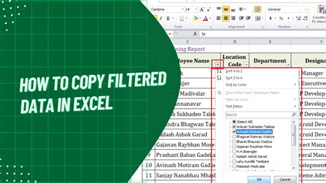 how to filter and copy data in excel