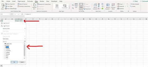 how to filter common names in excel