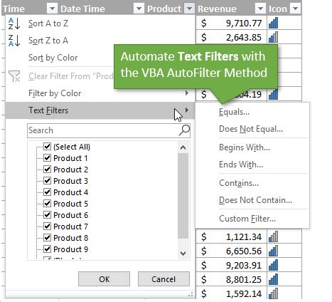 how to filter words in excel
