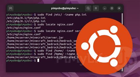 how to find a file path in linux terminal