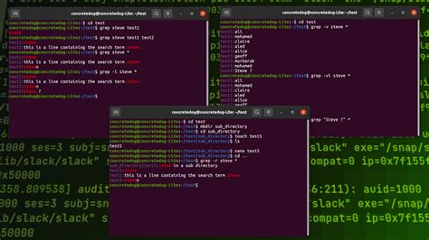 how to find a folder in linux using grep