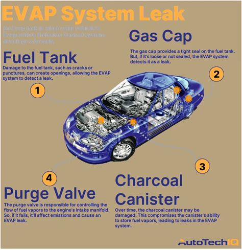 how to find a leak in your evap system