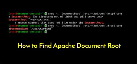 how to find apache root directory in linux
