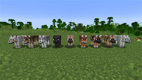 how to find different colored wolves in minecraft
