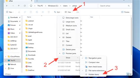 how to find hidden appdata folder in windows 11