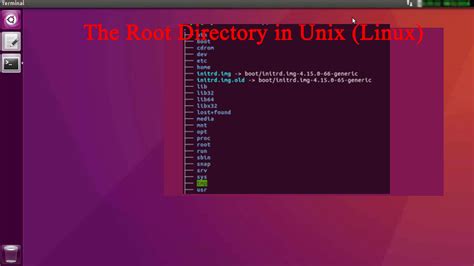 how to find root directory in linux