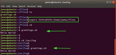 how to find root path in linux