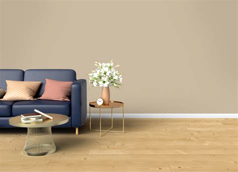how to find the color of a wall
