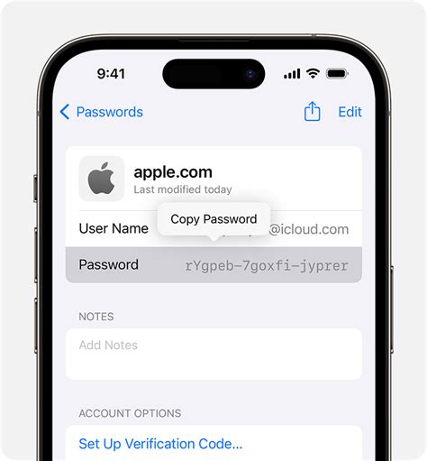 how to find your saved passwords on apple