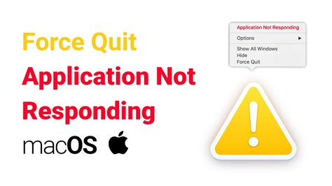 how to fix application not responding macbook