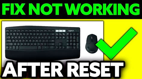 how to fix keyboard and mouse not working after reset