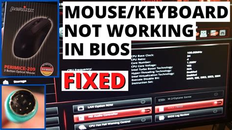 how to fix keyboard and mouse not working in bios