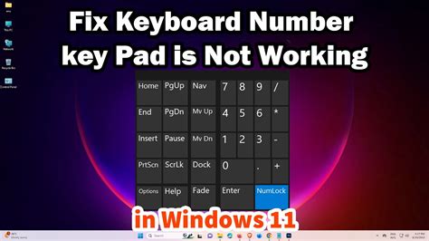 how to fix keyboard numbers not working windows 11