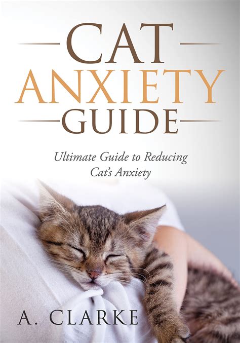 how to fix my cats anxiety