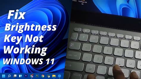 how to fix the brightness function key not working in windows 11