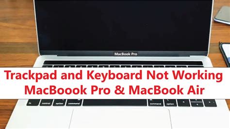 how to fix trackpad not working macbook