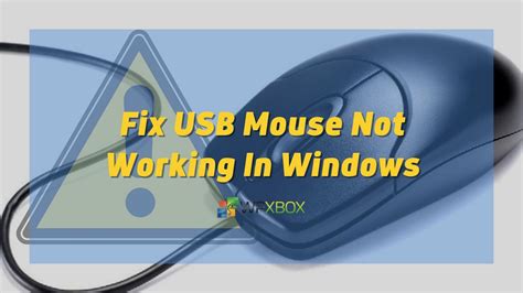 how to fix usb mouse not working on windows 11
