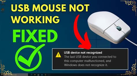how to fix usb mouse not working windows 10