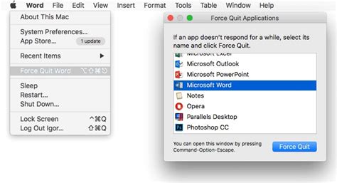 how to force quit word in mac